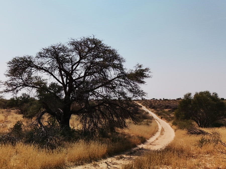 Commercial Property for Sale in Hotazel Rural Northern Cape